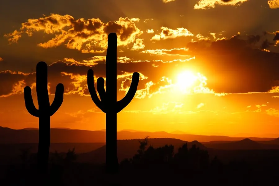 arizona ignition interlock device regulations